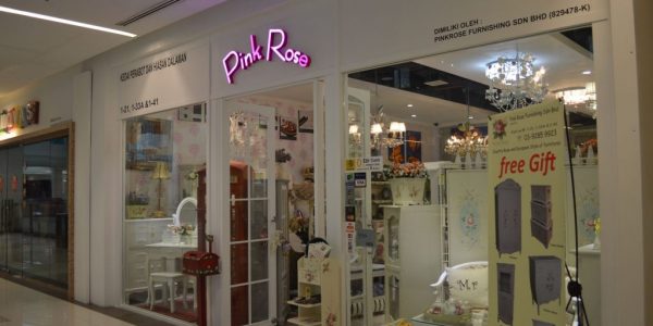 PINK-ROSE-6-1024x681